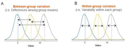 Comparing-Multiple-Groups